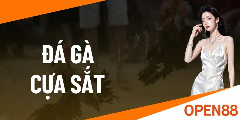 ảnh dại diện đá gà cựa sắt